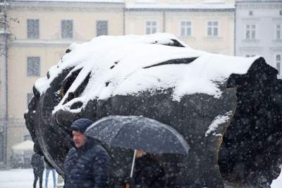 Zima dała mocniej znać o sobie. Nareszcie czy niestety? - zdjęcie 2
