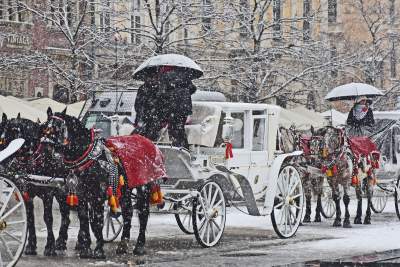 Zima dała mocniej znać o sobie. Nareszcie czy niestety? - zdjęcie 7