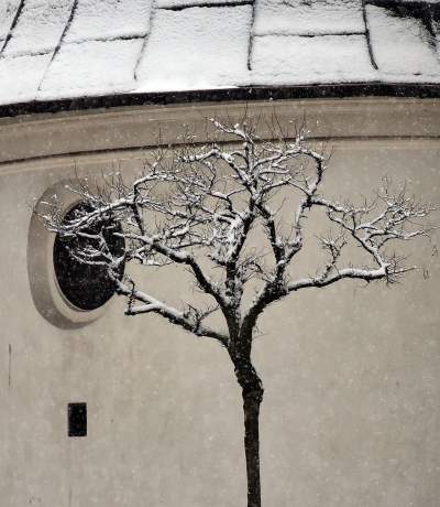 Zima dała mocniej znać o sobie. Nareszcie czy niestety? - zdjęcie 19