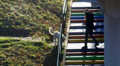 Podgórze: tak wyglądały kolorowe schody przed zniszczeniem - zdjęcie 26