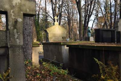 "Morderca Polaków", "agent Putina", czyszczenie grobu Stuhrów na cmentarzu Rakowickim - zdjęcie 7