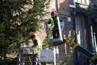 Ustawiali choinki na Rynku, a potem... - zdjęcie 20