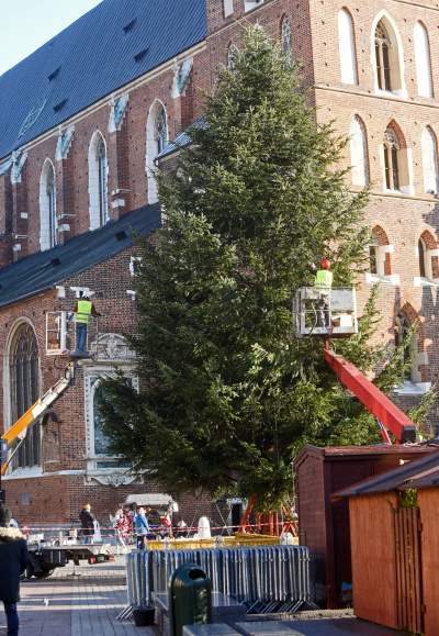 Ustawiali choinki na Rynku, a potem... - zdjęcie 18