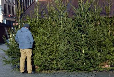 Ustawiali choinki na Rynku, a potem... - zdjęcie 14