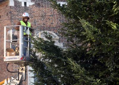 Ustawiali choinki na Rynku, a potem... - zdjęcie 19