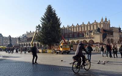 Ustawiali choinki na Rynku, a potem... - zdjęcie 1