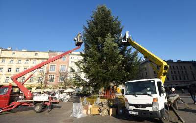 Ustawiali choinki na Rynku, a potem... - zdjęcie 8