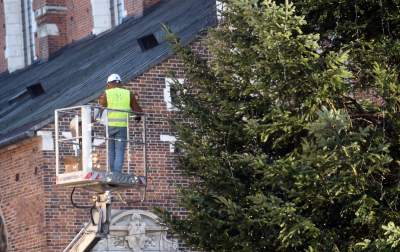 Ustawiali choinki na Rynku, a potem... - zdjęcie 17