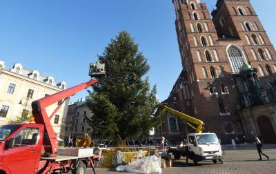 Ustawiali choinki na Rynku, a potem... - zdjęcie 12
