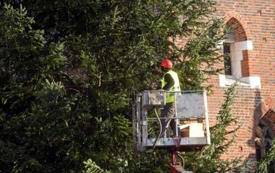 Ustawiali choinki na Rynku, a potem... - zdjęcie 16