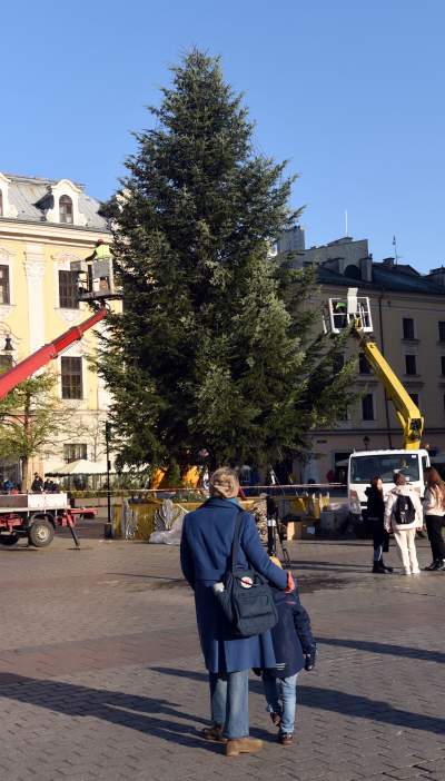 Ustawiali choinki na Rynku, a potem... - zdjęcie 13