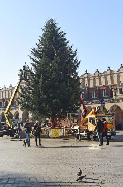 Ustawiali choinki na Rynku, a potem... - zdjęcie 2