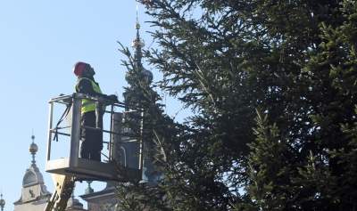 Ustawiali choinki na Rynku, a potem... - zdjęcie 5
