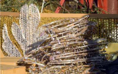 Ustawiali choinki na Rynku, a potem... - zdjęcie 6