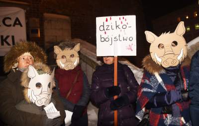Dziki protest na Rynku Głównym: "żyj i ryj" - zdjęcie 6