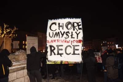 Dziki protest na Rynku Głównym: "żyj i ryj" - zdjęcie 12