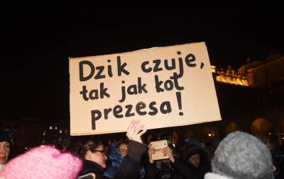 Dziki protest na Rynku Głównym: "żyj i ryj" - zdjęcie 3
