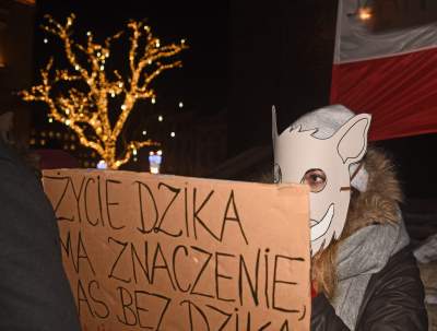 Dziki protest na Rynku Głównym: "żyj i ryj" - zdjęcie 4