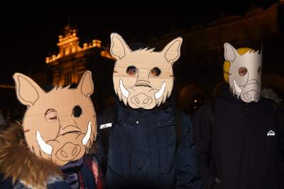 Dziki protest na Rynku Głównym: "żyj i ryj" - zdjęcie 2