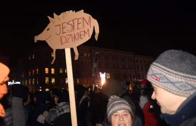 Dziki protest na Rynku Głównym: "żyj i ryj" - zdjęcie 13