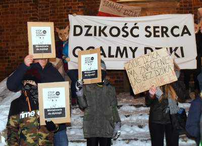 Dziki protest na Rynku Głównym: "żyj i ryj" - zdjęcie 5