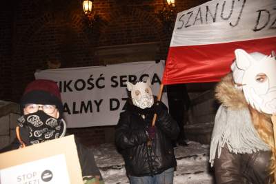 Dziki protest na Rynku Głównym: "żyj i ryj" - zdjęcie 11