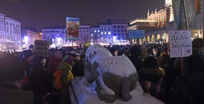 Dziki protest na Rynku Głównym: "żyj i ryj" - zdjęcie 15