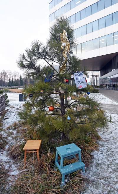 Sędziowska choinka 2021. Trzecia próba... - zdjęcie 14