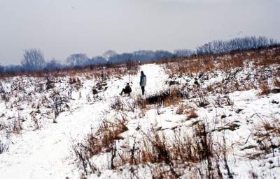 To była najlepsza góra saneczkowa w Krakowie. W ubiegłym wieku... - zdjęcie 1