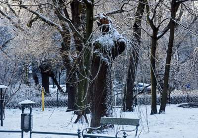 A po burzy z piorunami przychodzi... piękna zima - zdjęcie 22