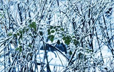 A po burzy z piorunami przychodzi... piękna zima - zdjęcie 12