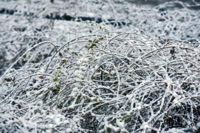 A po burzy z piorunami przychodzi... piękna zima - zdjęcie 9