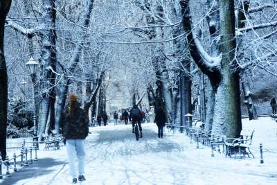 A po burzy z piorunami przychodzi... piękna zima - zdjęcie 8