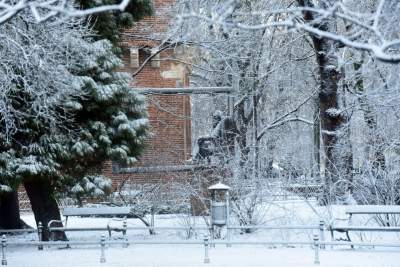 A po burzy z piorunami przychodzi... piękna zima - zdjęcie 15