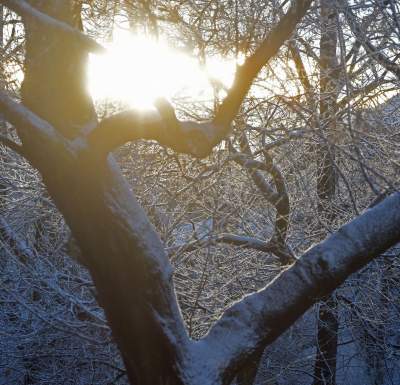 A po burzy z piorunami przychodzi... piękna zima - zdjęcie 23