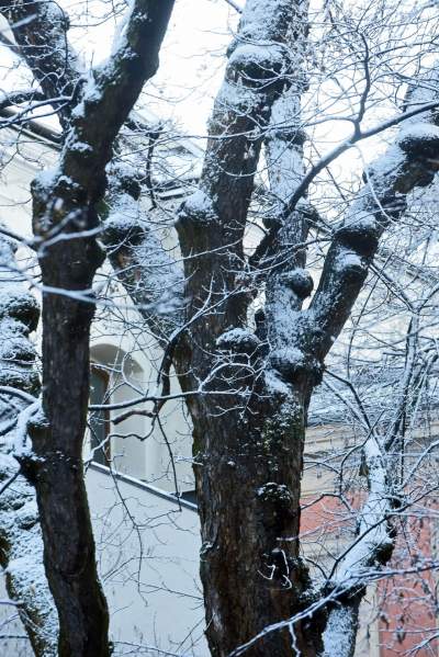 A po burzy z piorunami przychodzi... piękna zima - zdjęcie 10