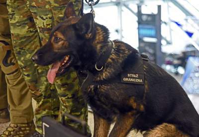 Taka sytuacja na lotnisku w Balicach. Zobaczcie zdjęcia i film - zdjęcie 17