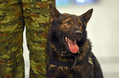 Taka sytuacja na lotnisku w Balicach. Zobaczcie zdjęcia i film - zdjęcie 20