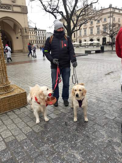 Wichura wolontariuszy WOŚP nie zniechęca, fot. Marek Lasyk - zdjęcie 9