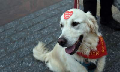 Oni nie narzekali na pogodę. 30. Finał WOŚP w Krakowie - zdjęcie 10