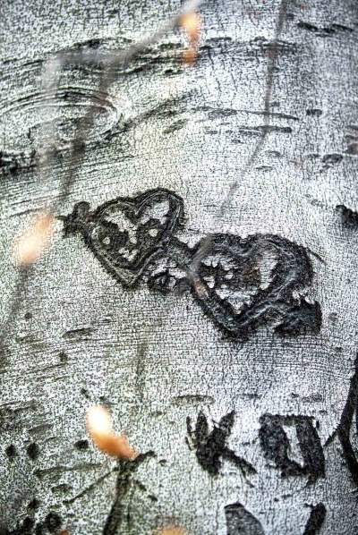 Planty według Andrzeja Nowakowskiego - zdjęcie 14