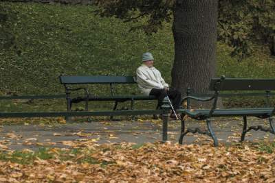 Planty według Andrzeja Nowakowskiego - zdjęcie 3