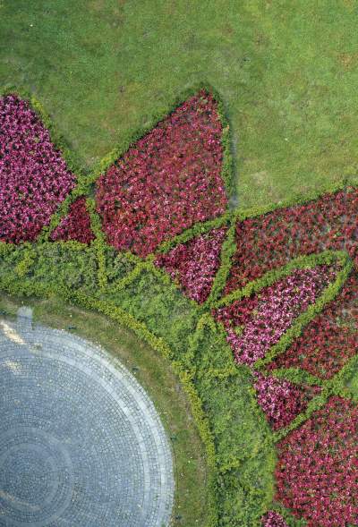 Planty według Andrzeja Nowakowskiego - zdjęcie 11