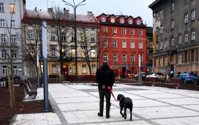 Plac Biskupi po modernizacji. Wiosną będzie tu pięknie - zdjęcie 6