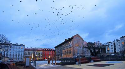 Plac Biskupi po modernizacji. Wiosną będzie tu pięknie - zdjęcie 20