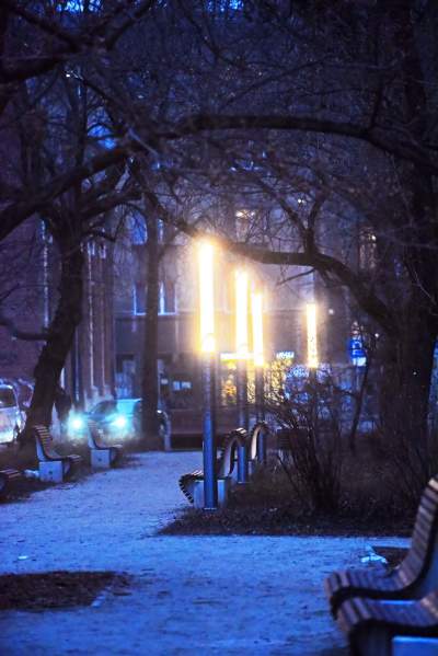 Plac Biskupi po modernizacji. Wiosną będzie tu pięknie - zdjęcie 27