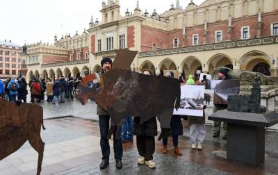 Zbudowali na Rynku tekturowy mur i go obalili.  "Murowana katastrofa" - zdjęcie 40