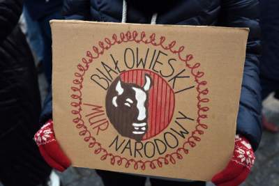 Zbudowali na Rynku tekturowy mur i go obalili.  "Murowana katastrofa" - zdjęcie 32