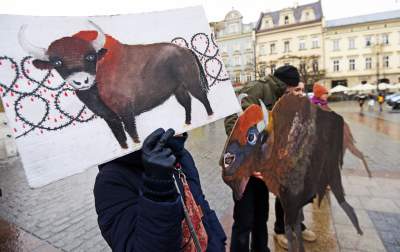 Zbudowali na Rynku tekturowy mur i go obalili.  "Murowana katastrofa" - zdjęcie 15