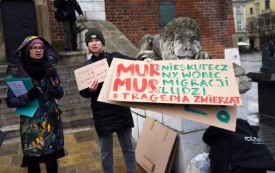 Zbudowali na Rynku tekturowy mur i go obalili.  "Murowana katastrofa" - zdjęcie 16